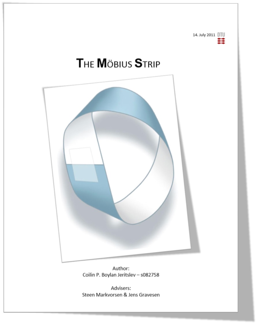 B.Sc. Thesis Report: The M&oumlbius strip